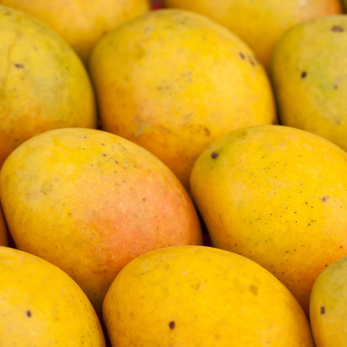 Detail Mango Images Nomer 45