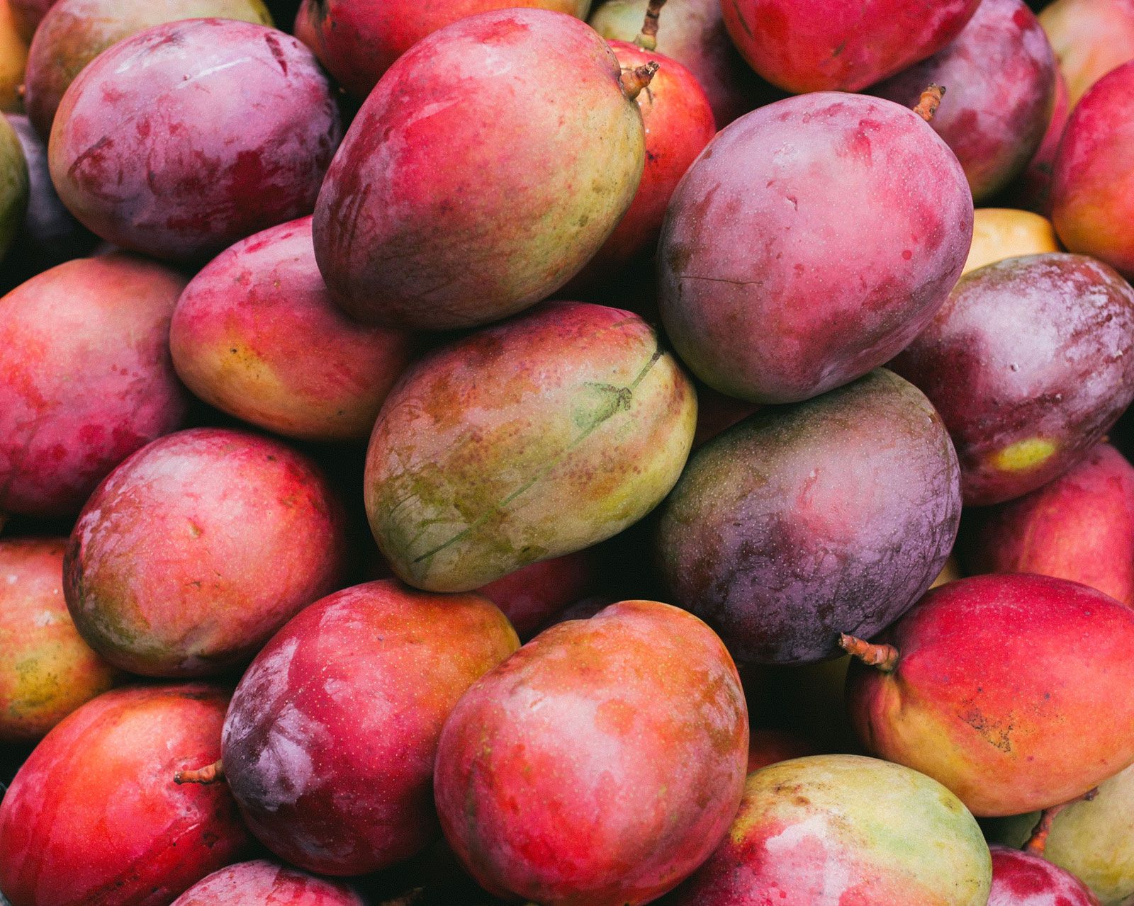 Detail Mango Images Nomer 48