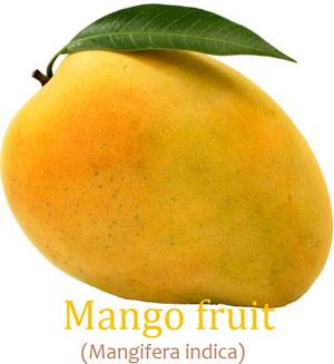 Detail Mango Images Nomer 10
