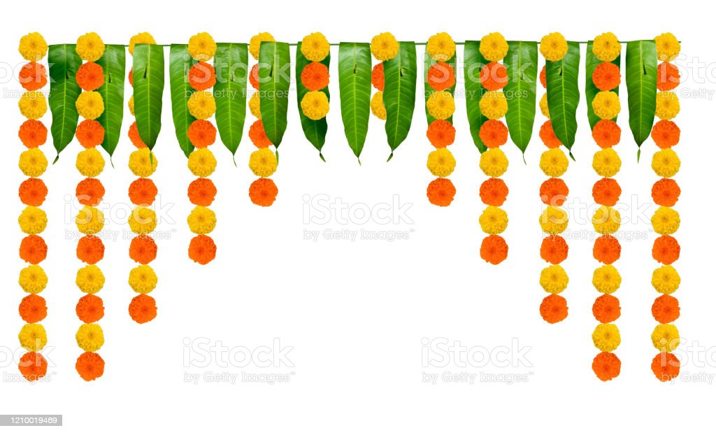 Detail Mango Leaf Garland Nomer 15