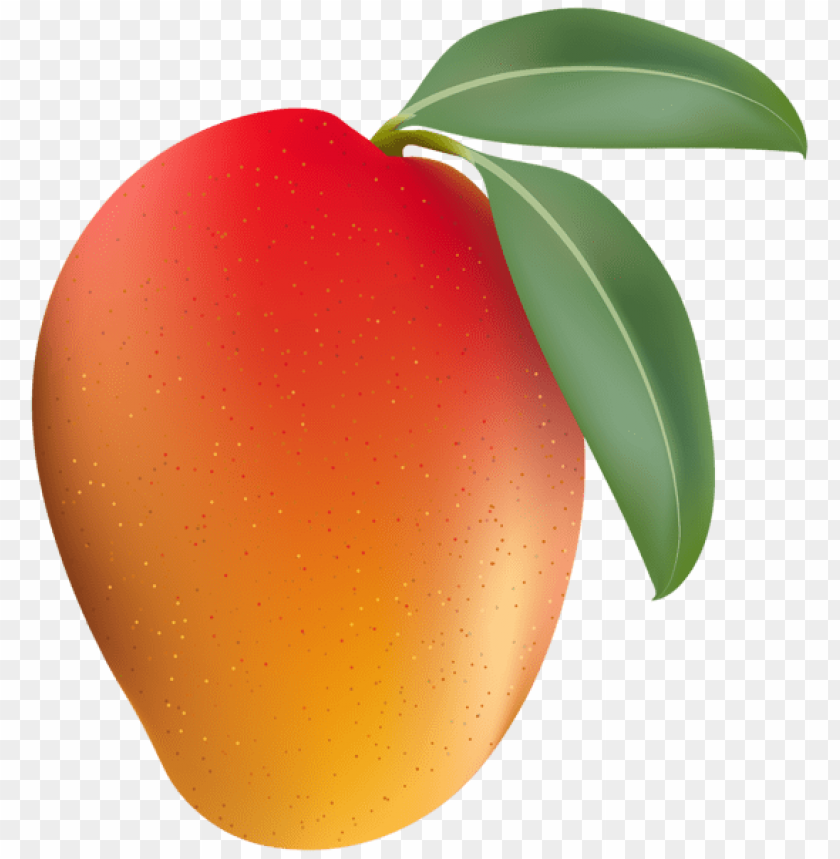 Detail Mango No Background Nomer 12