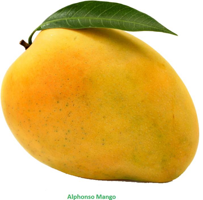 Detail Mango No Background Nomer 14