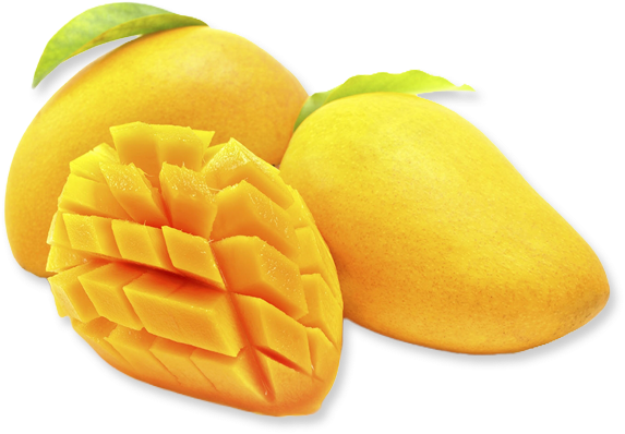 Detail Mango No Background Nomer 17