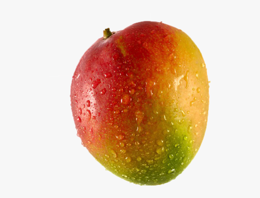 Detail Mango No Background Nomer 23
