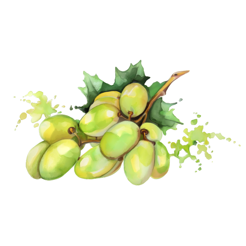 Detail Mango No Background Nomer 25