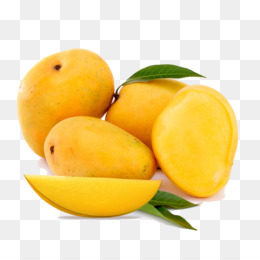 Detail Mango No Background Nomer 28
