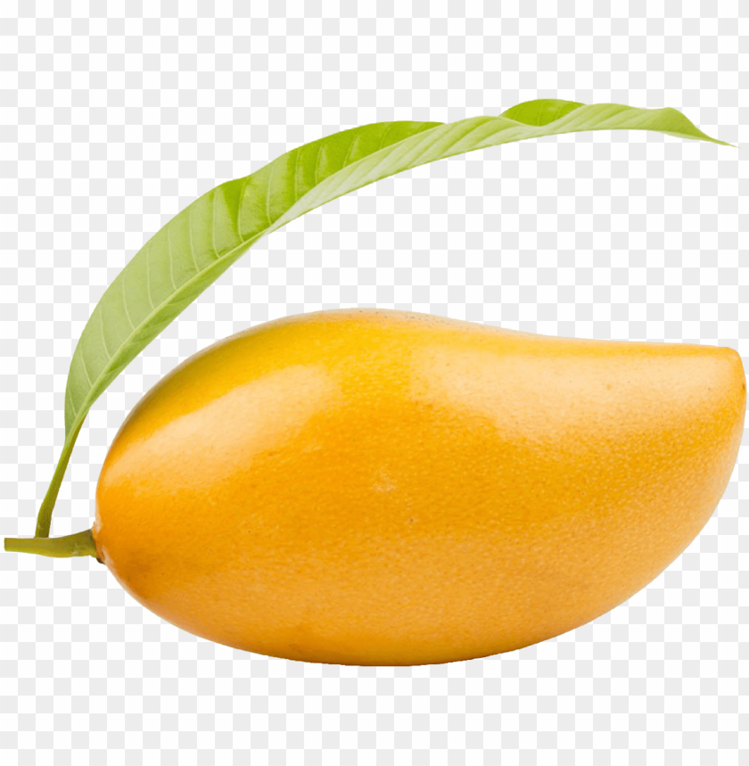 Detail Mango No Background Nomer 30