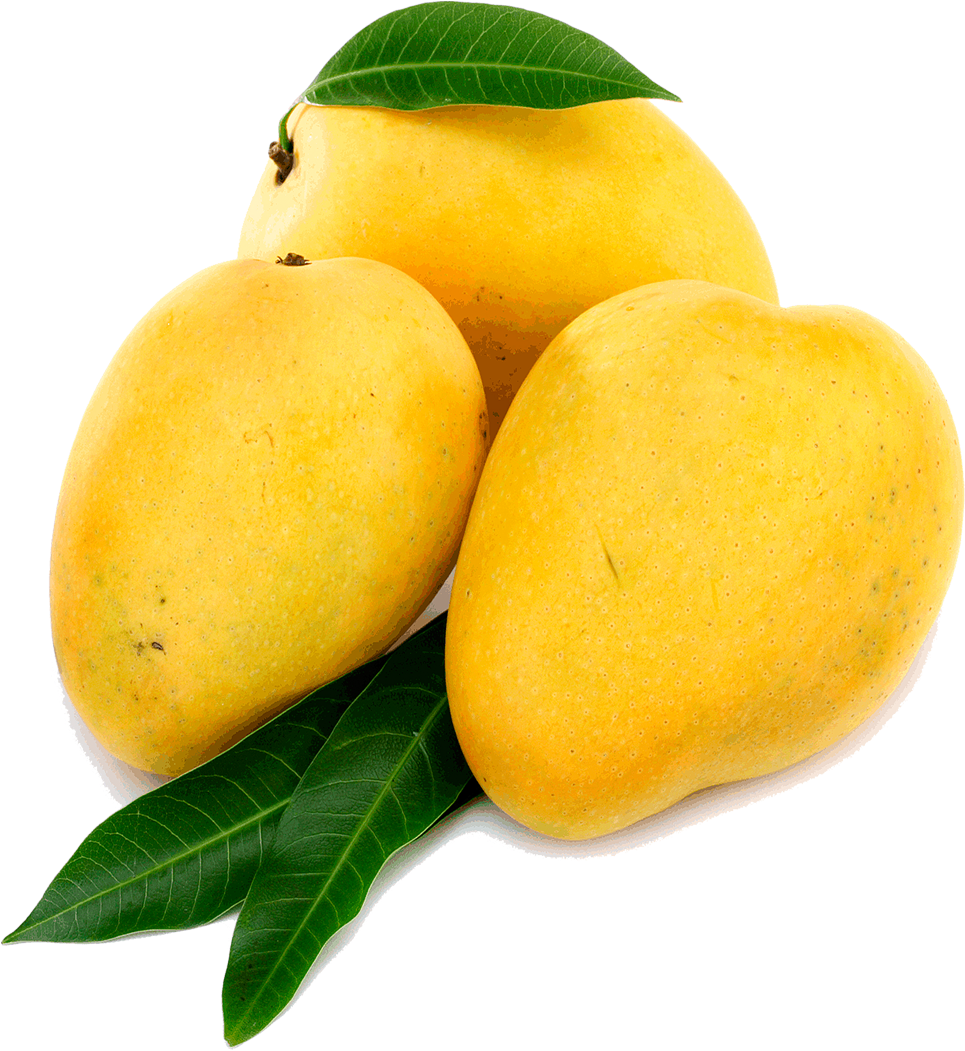 Detail Mango No Background Nomer 31