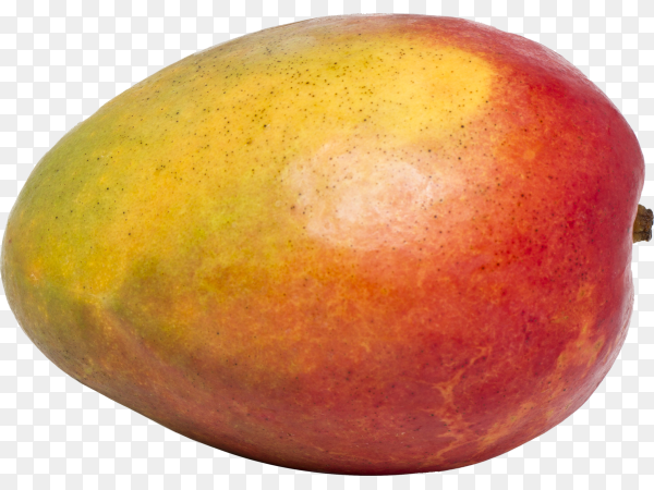 Detail Mango No Background Nomer 32