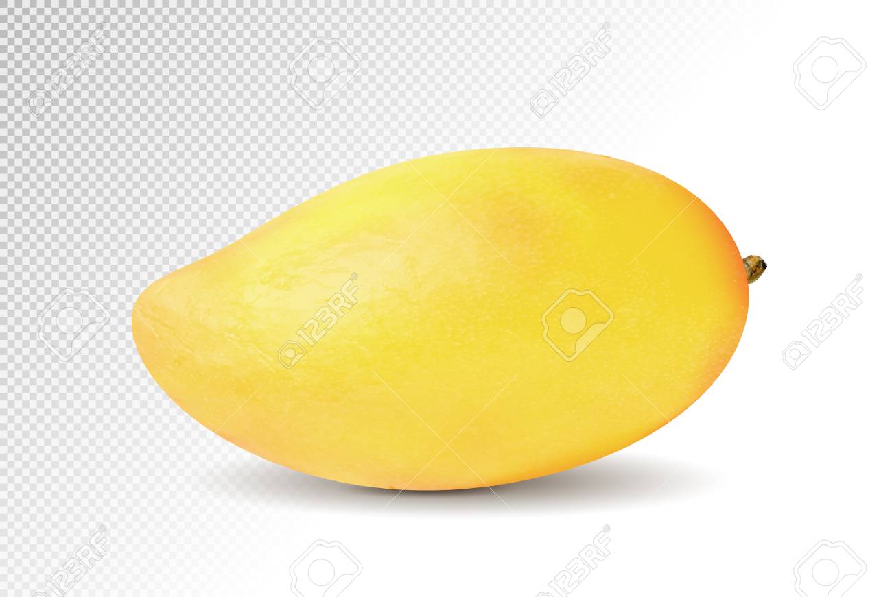 Detail Mango No Background Nomer 36