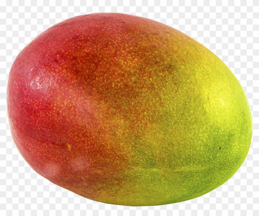 Detail Mango No Background Nomer 38