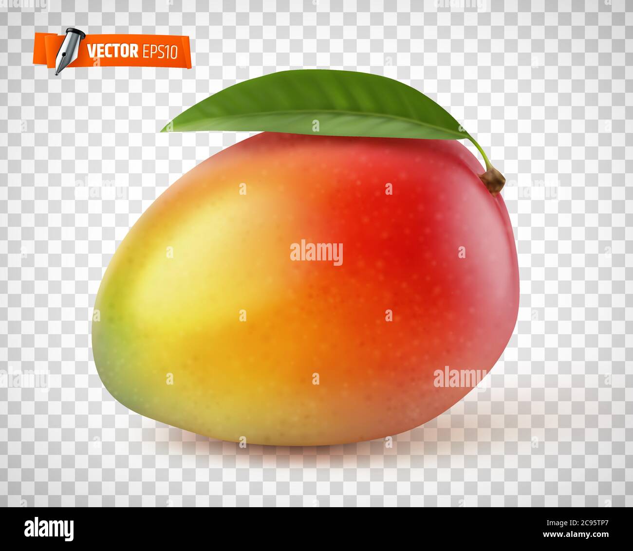Detail Mango No Background Nomer 40