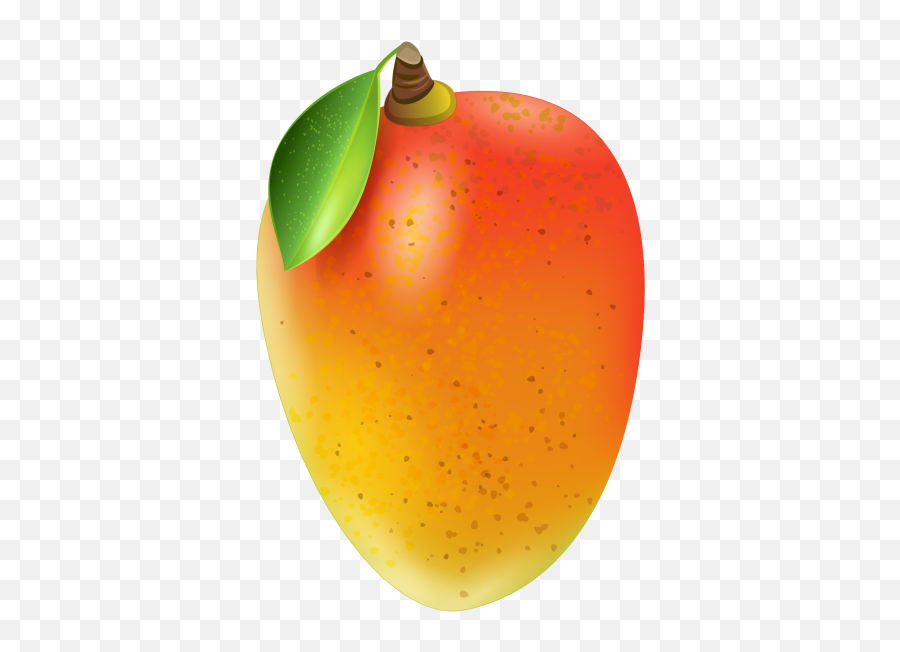Detail Mango No Background Nomer 41