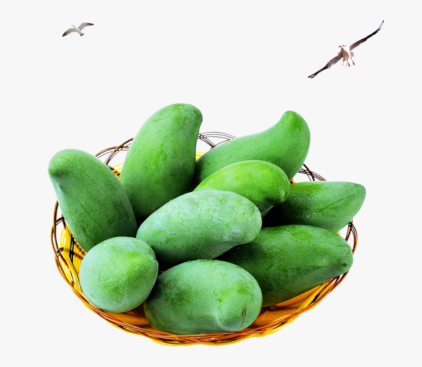 Detail Mango No Background Nomer 52