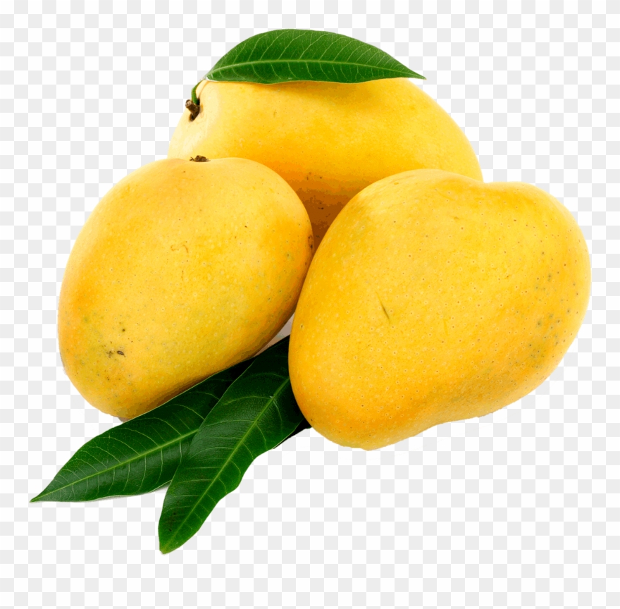 Detail Mango Transparent Nomer 36