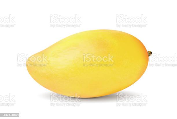 Detail Mango Transparent Nomer 39