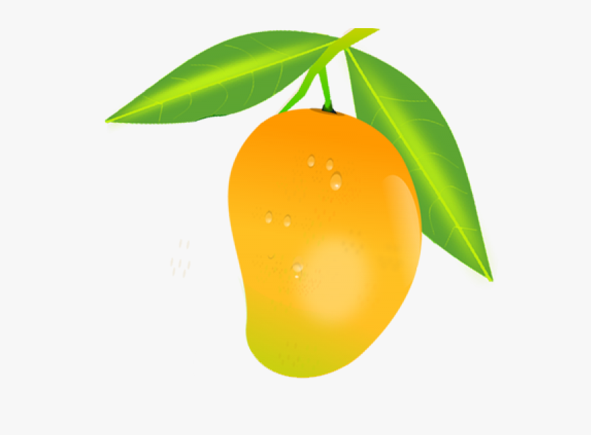 Detail Mango Transparent Nomer 44