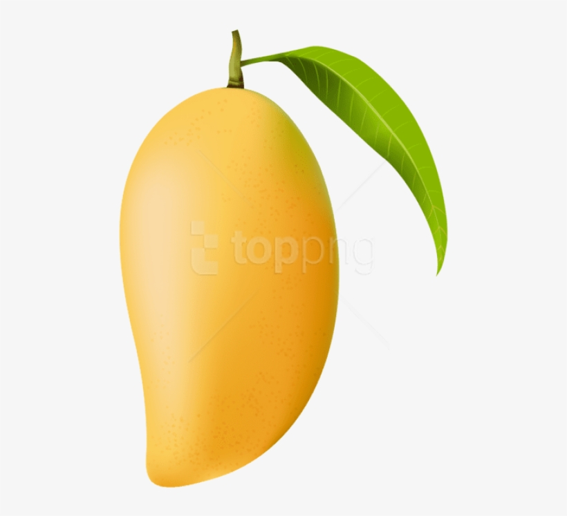 Detail Mango Transparent Background Nomer 11