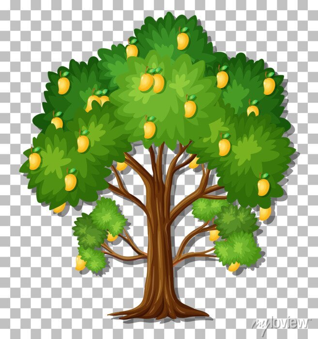 Detail Mango Tree Clipart Nomer 17