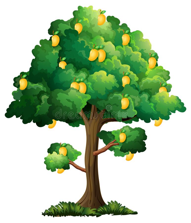 Detail Mango Tree Clipart Nomer 19