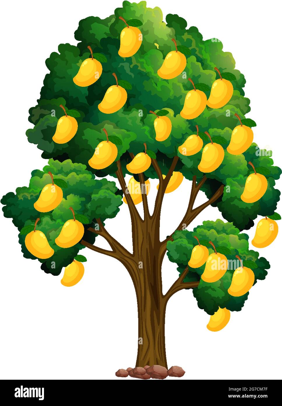 Detail Mango Tree Clipart Nomer 21