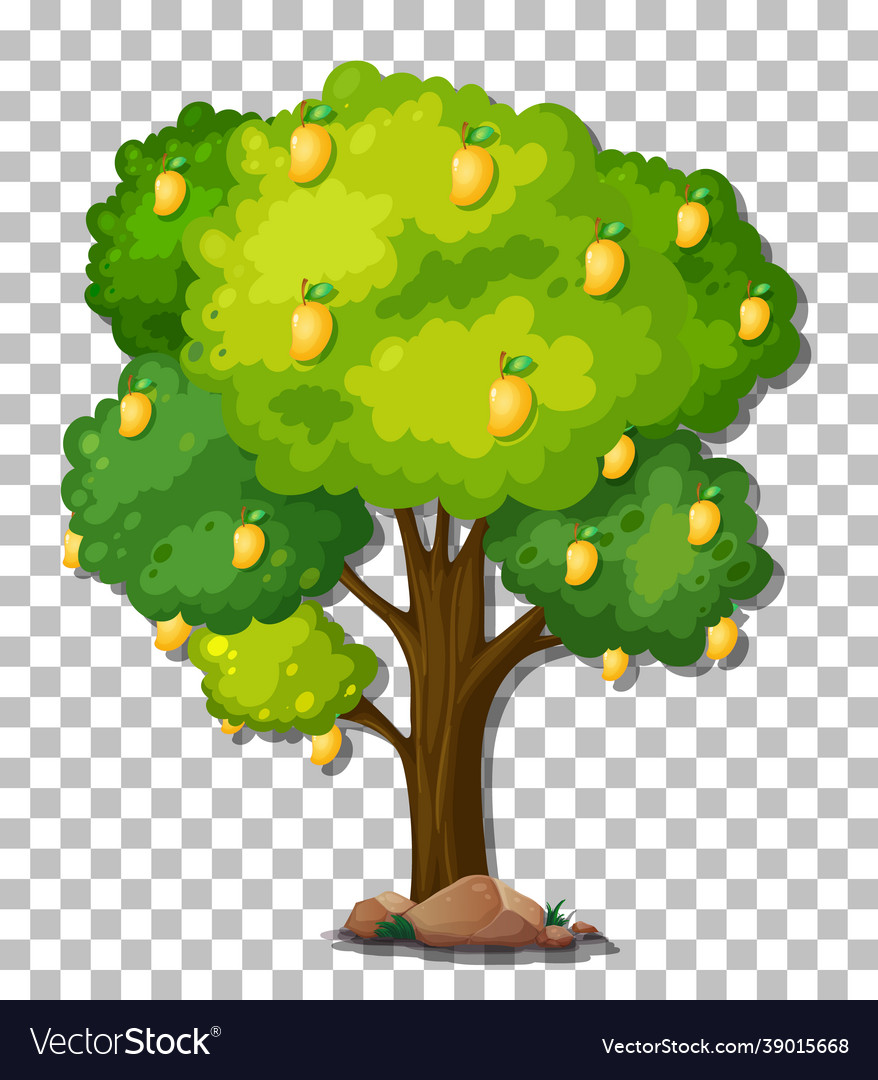 Detail Mango Tree Clipart Nomer 22