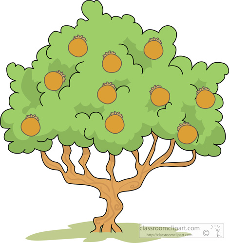 Detail Mango Tree Clipart Nomer 28