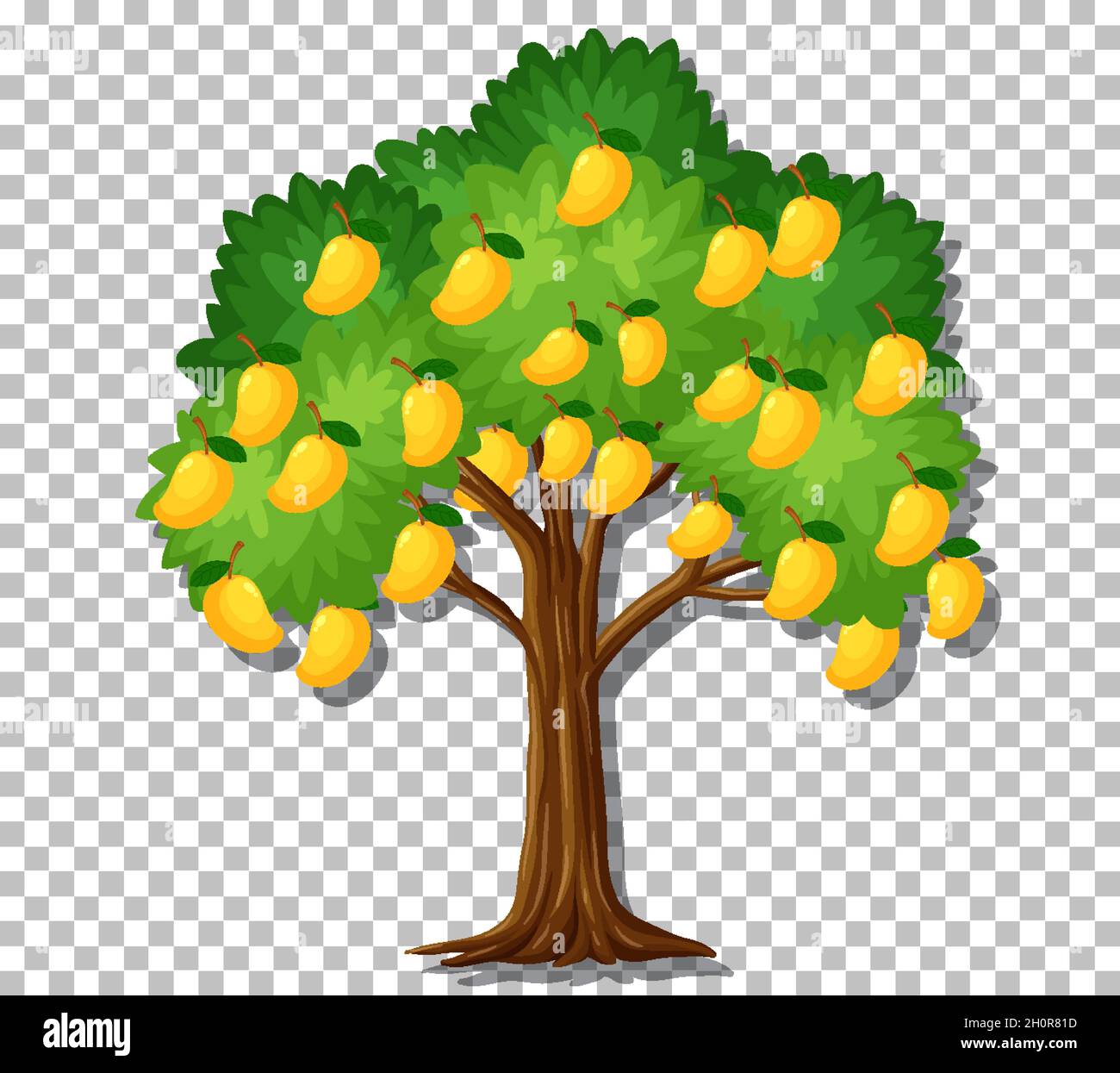 Detail Mango Tree Clipart Nomer 35