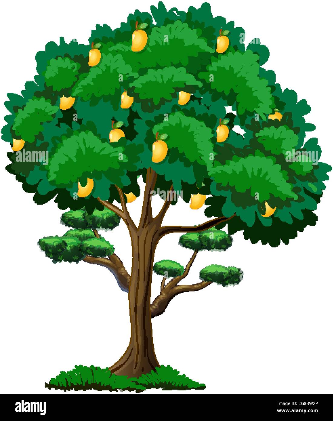 Detail Mango Tree Clipart Nomer 36