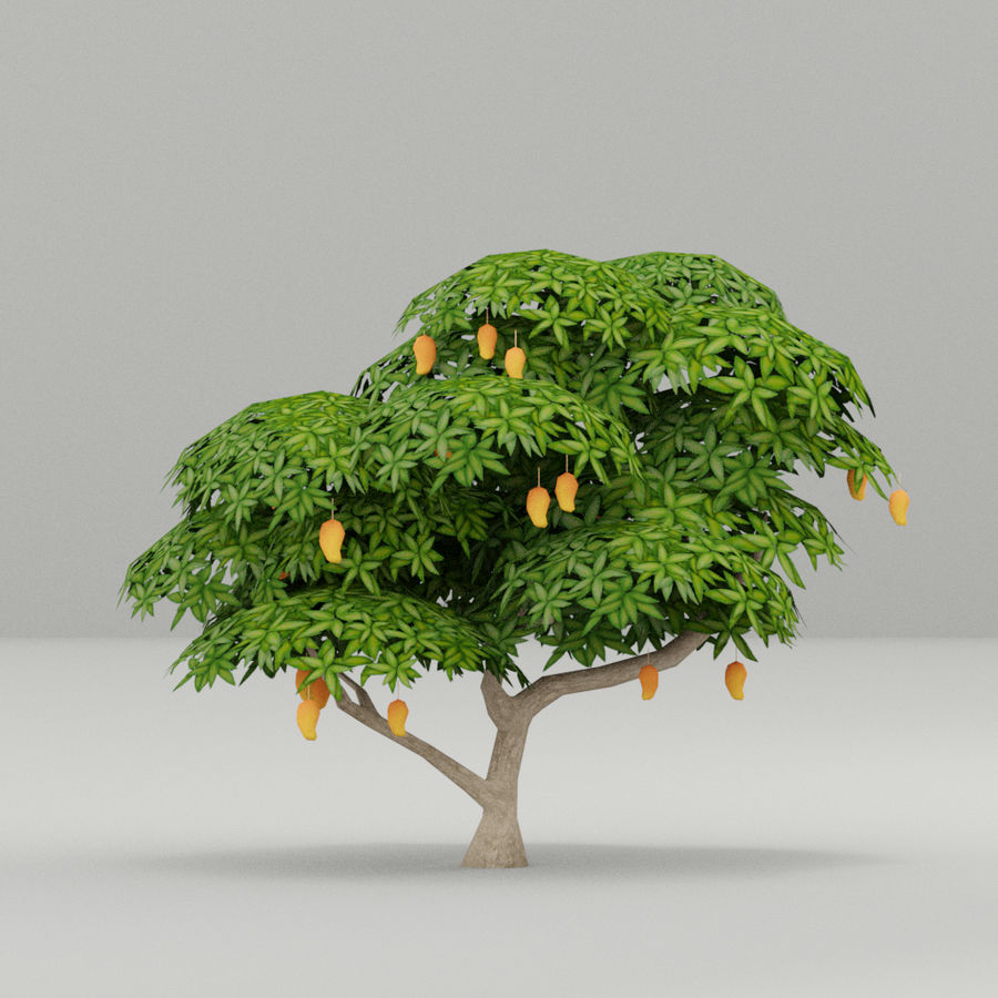 Detail Mango Tree Png Nomer 29