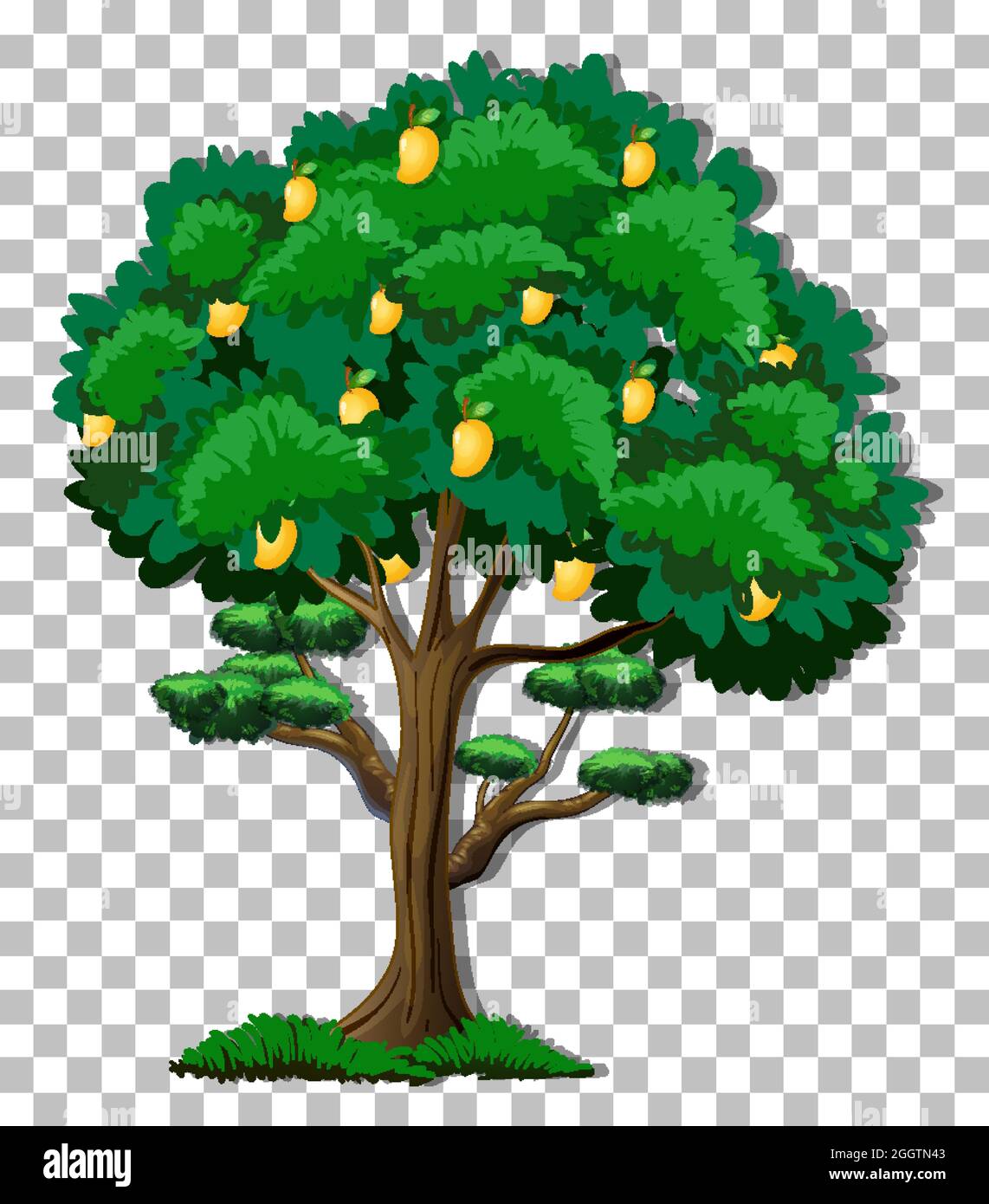 Detail Mango Tree Png Nomer 36