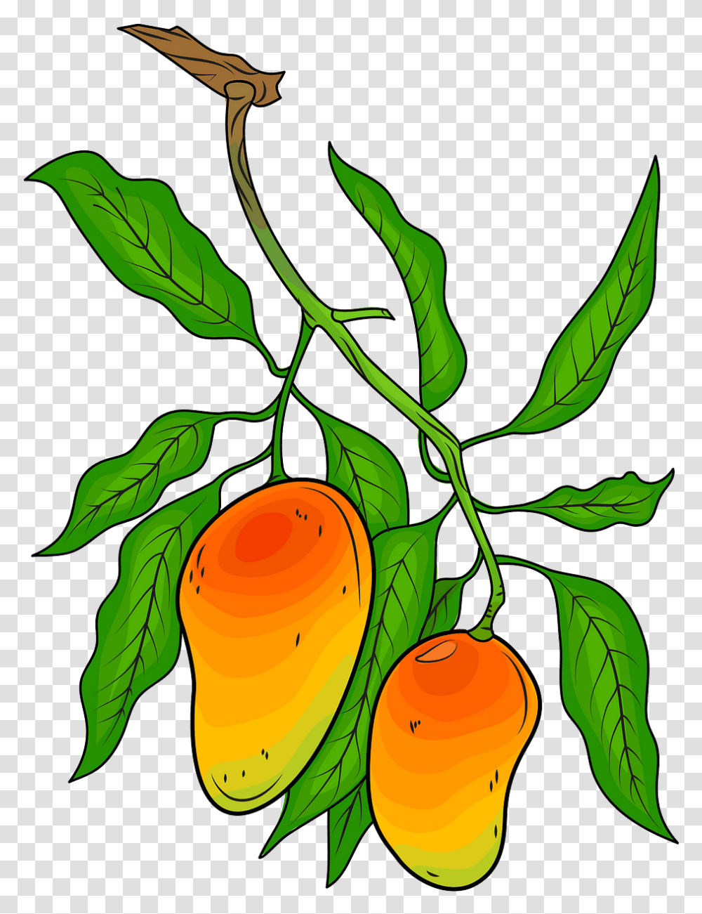 Detail Mango Tree Png Nomer 46