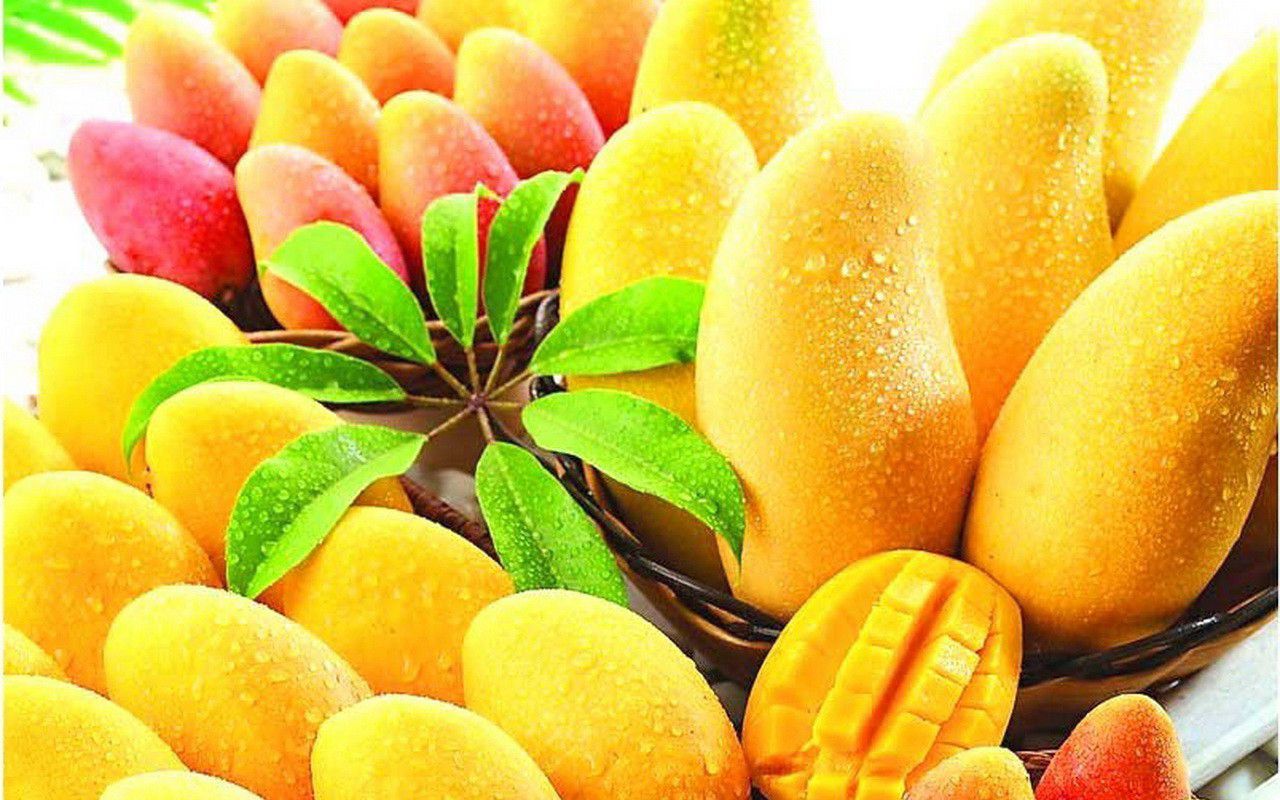 Detail Mango Wallpaper Nomer 3