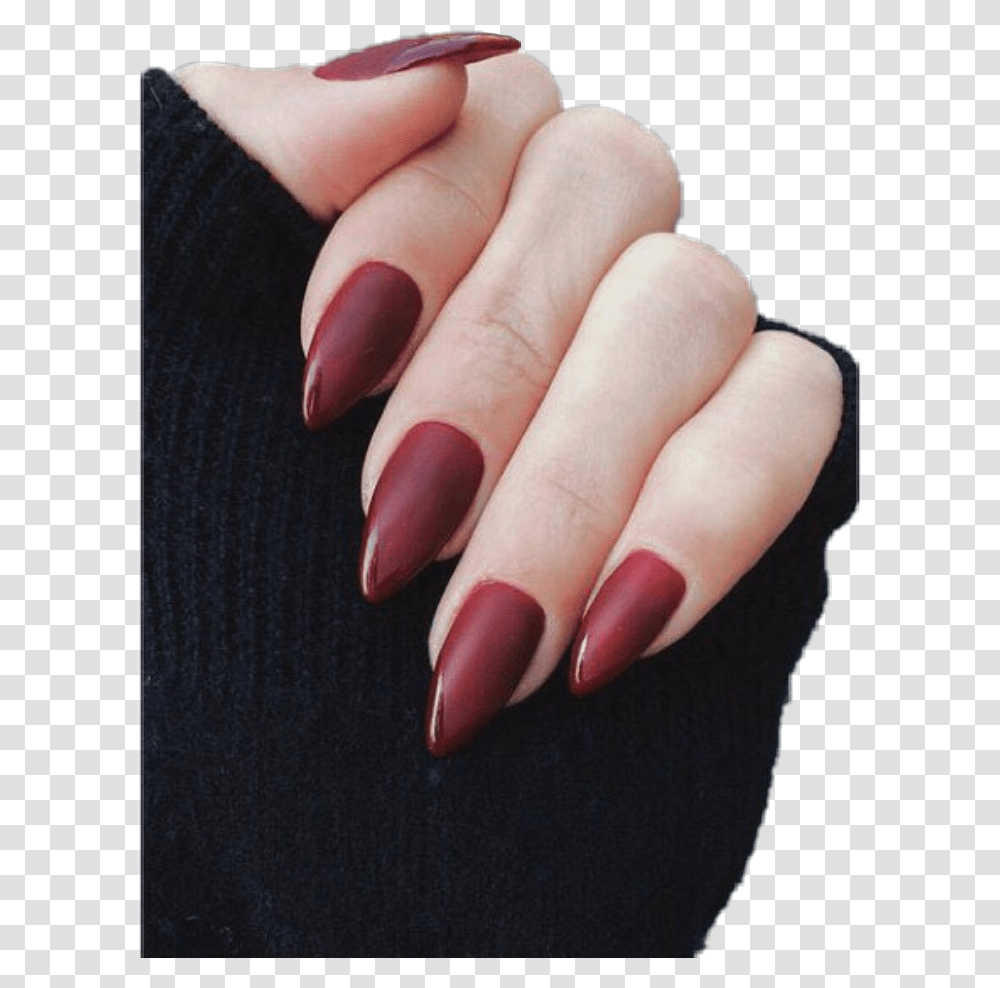 Detail Manicure Png Nomer 24