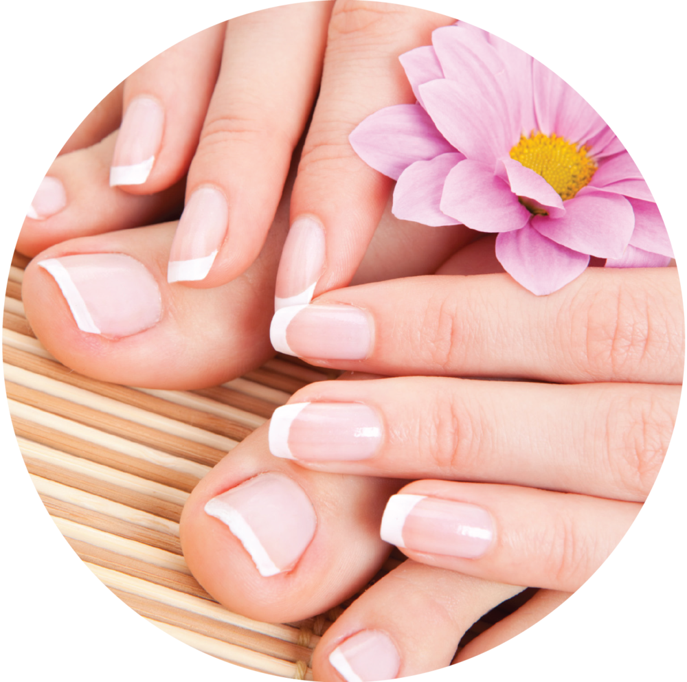 Detail Manicure Png Nomer 4