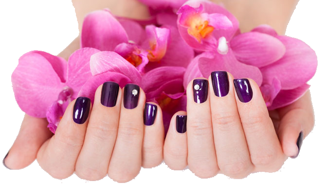 Detail Manicure Png Nomer 40