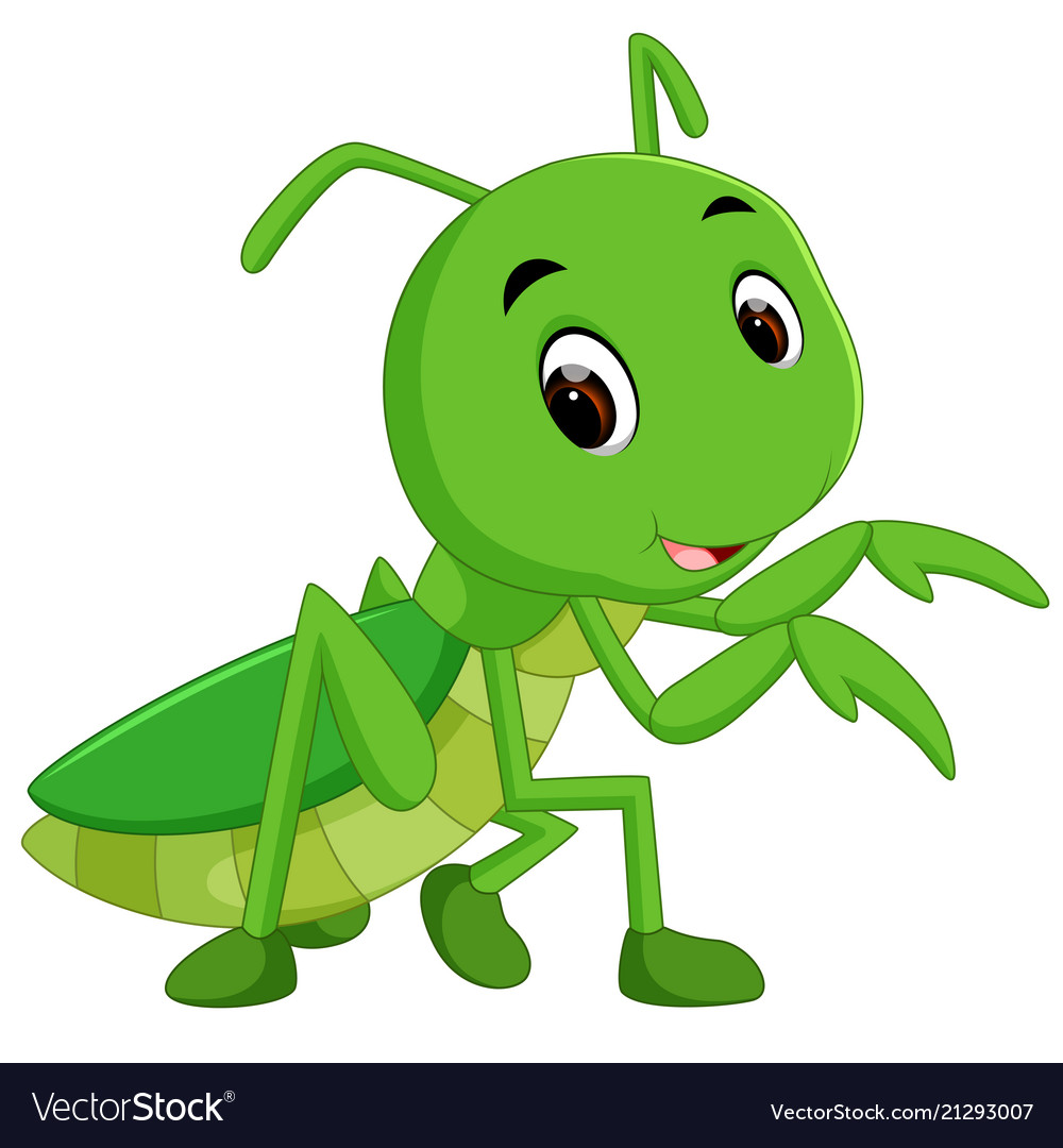 Detail Mantis Clipart Nomer 15