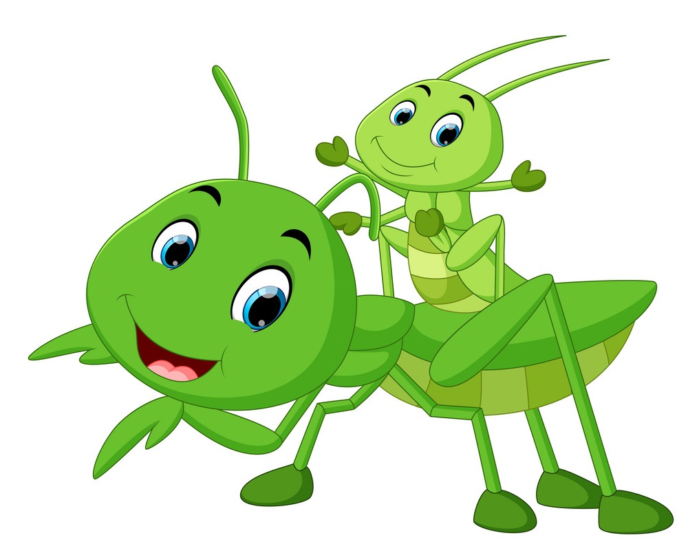 Detail Mantis Clipart Nomer 39