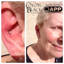 Detail Mantis Nose Piercing Nomer 38