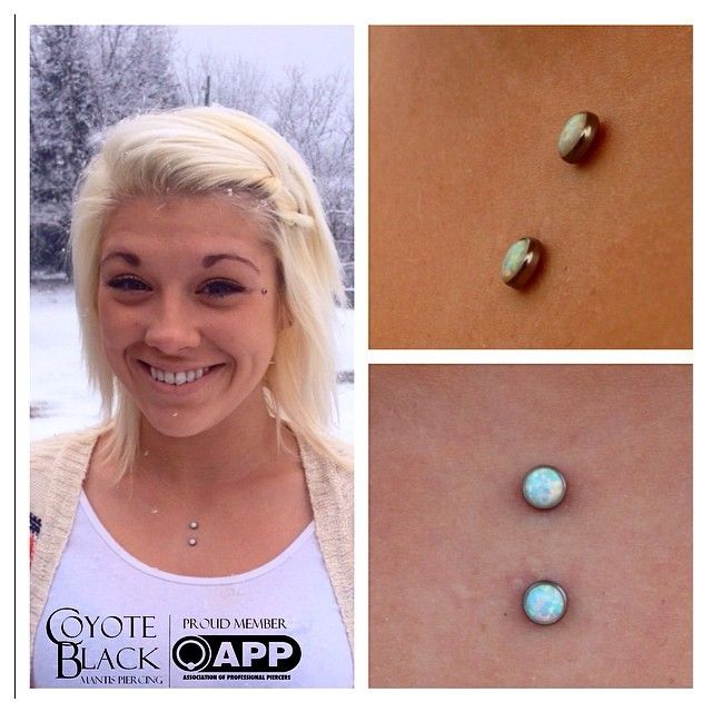 Detail Mantis Piercing Nomer 13