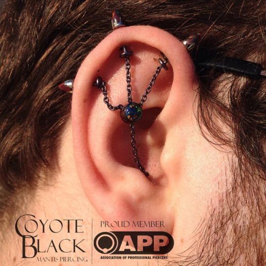 Detail Mantis Piercing Nomer 27