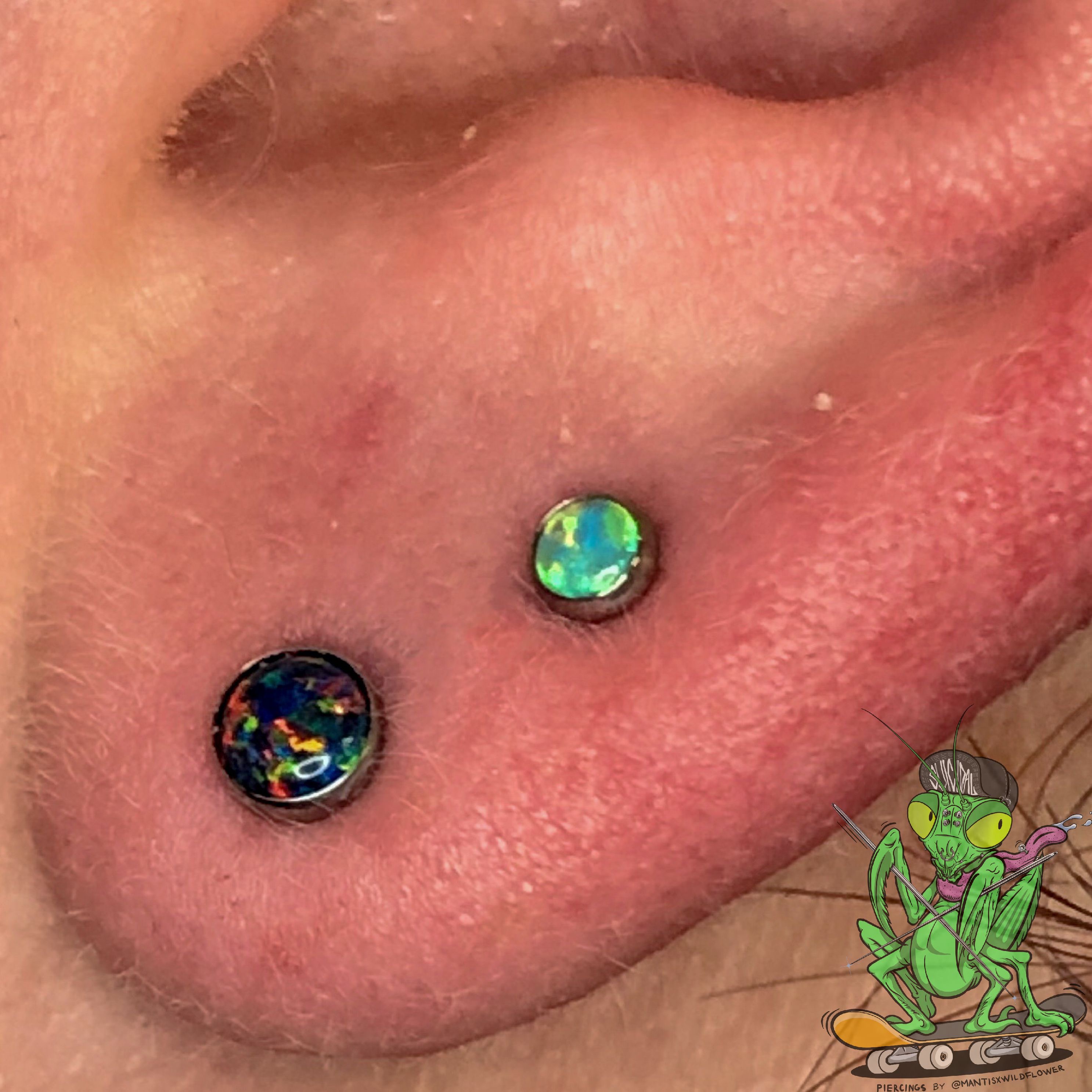 Detail Mantis Piercing Nomer 32