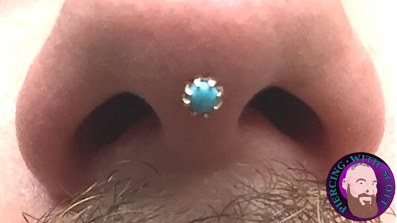 Detail Mantis Piercing Nomer 41