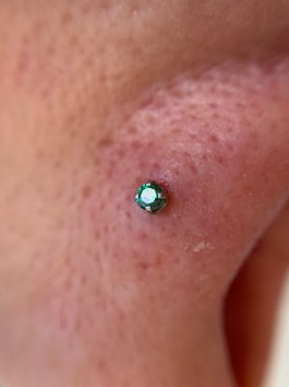 Detail Mantis Piercing Nomer 43