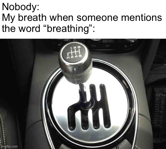 Detail Manual Transmission Meme Nomer 19