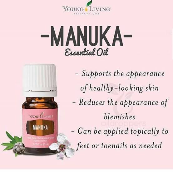 Detail Manuka Young Living Manfaat Nomer 8