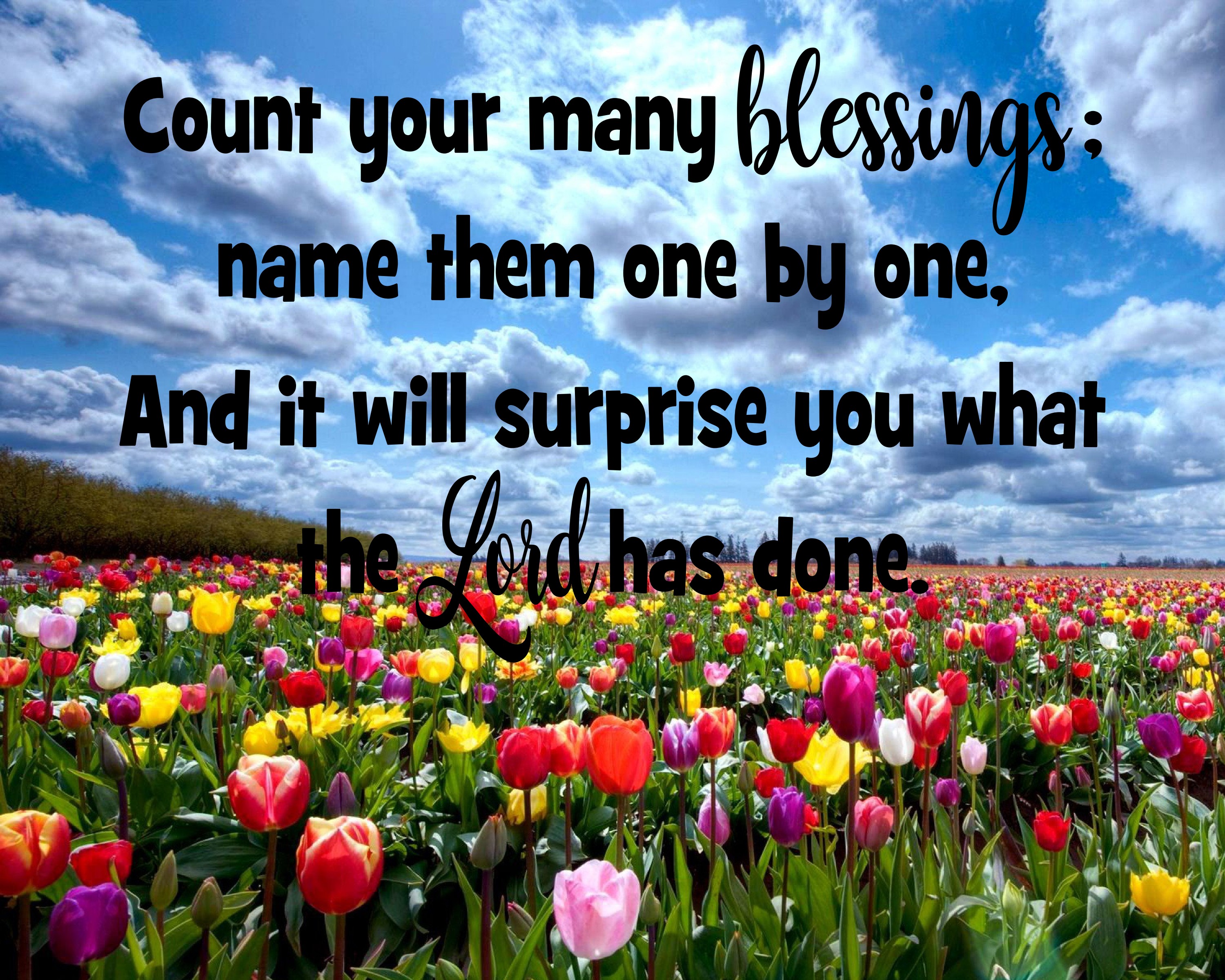 Detail Many Blessings Quotes Nomer 24