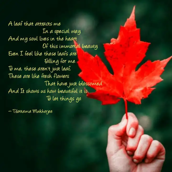 Detail Maple Leaf Quotes Nomer 12