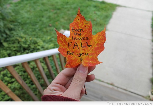 Detail Maple Leaf Quotes Nomer 27