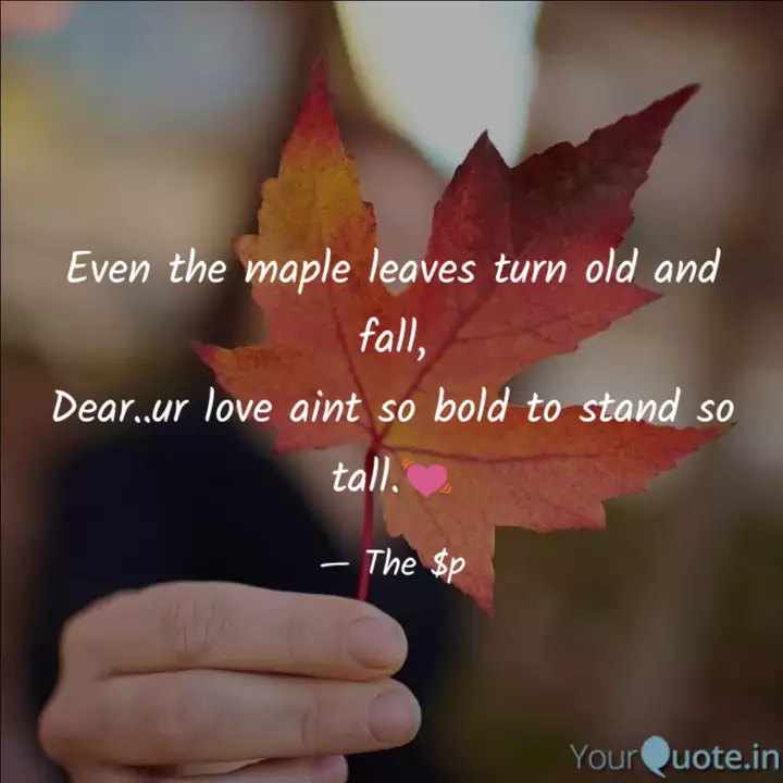 Detail Maple Leaf Quotes Nomer 35